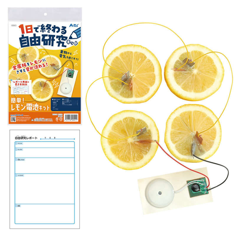 アーテック 1日で終わる自由研究キット 簡単!レモン電池 1個（ご注文単位1個）【直送品】