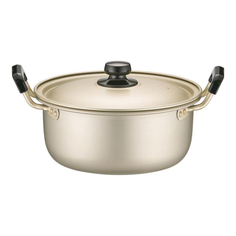 アカオ　しゅう酸　実用鍋（硬質） 22cm 1袋（ご注文単位1袋）【直送品】