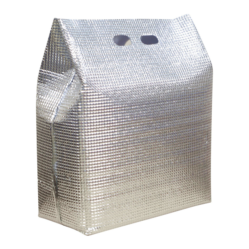 保冷・保温袋 アルバック 自立式袋 (50枚入) LWサイズ 1袋(ご注文単位1袋)【直送品】