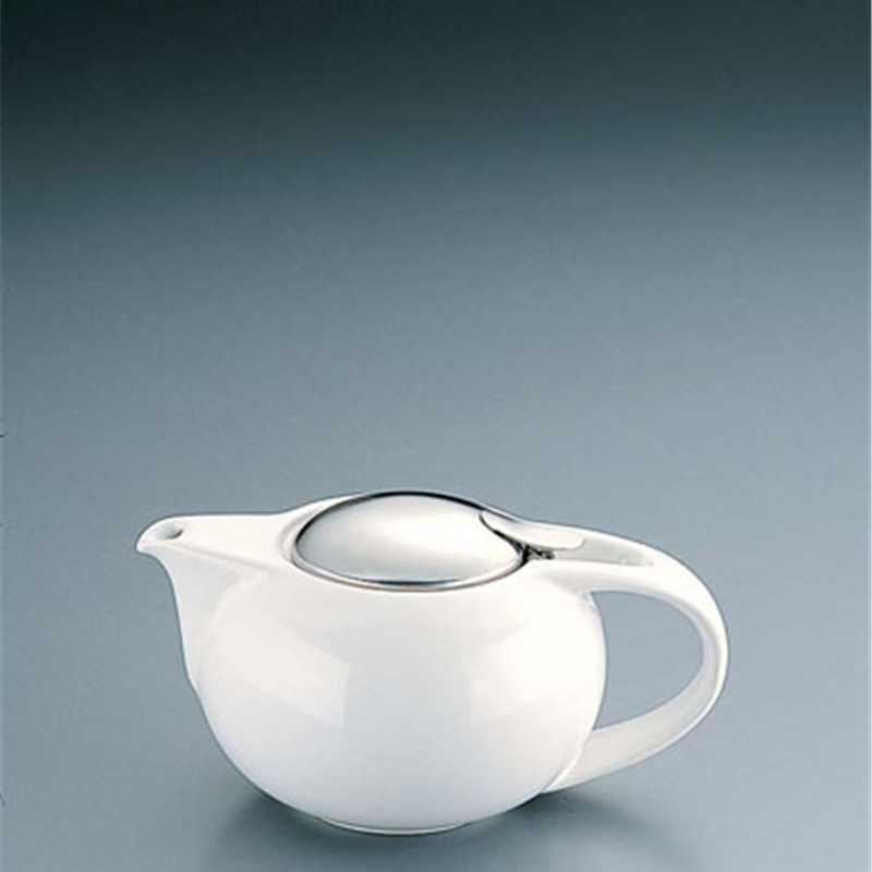 ゼロ　サターンティーポット BBN-17（S） 1箱（ご注文単位1箱）【直送品】