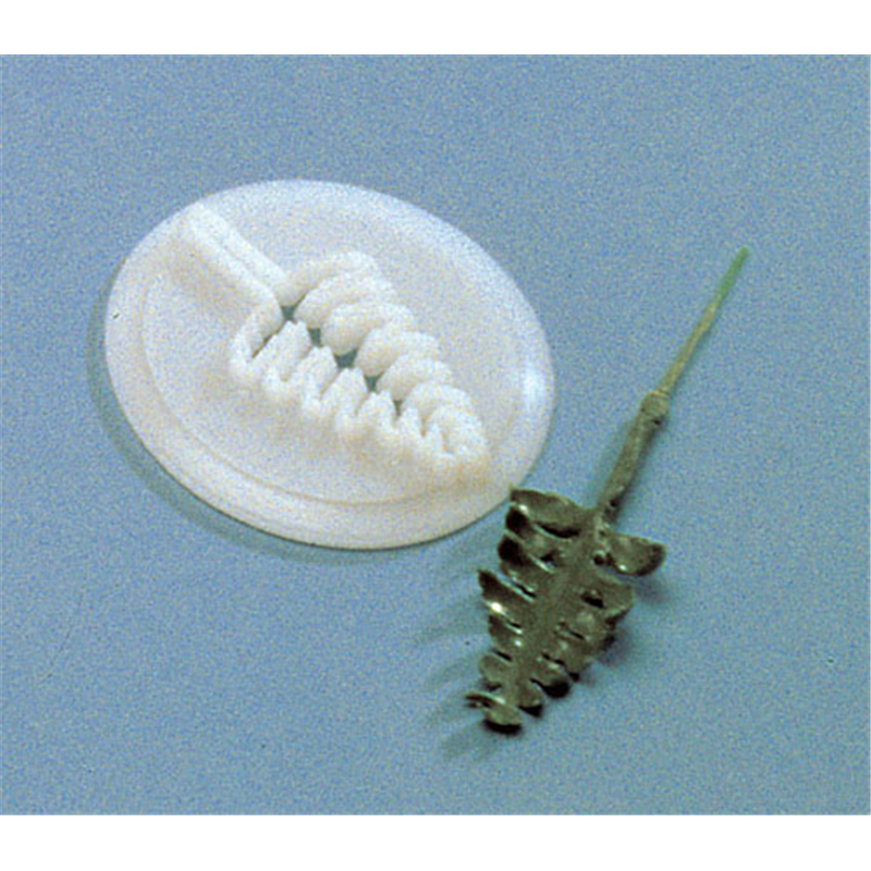 シダの葉抜型　　　　　　86168  1個（ご注文単位1個）【直送品】