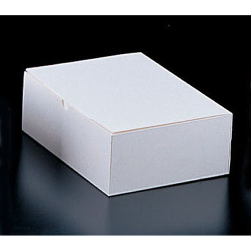 エコ洋生　サービスボックス　#8 20-153　5号　100枚入 1箱（ご注文単位1箱）【直送品】