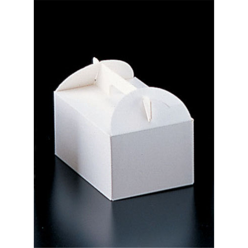 エコ洋生 キャリーボックス #6 DE-51 3号 200枚入 1箱(ご注文単位1箱)【直送品】