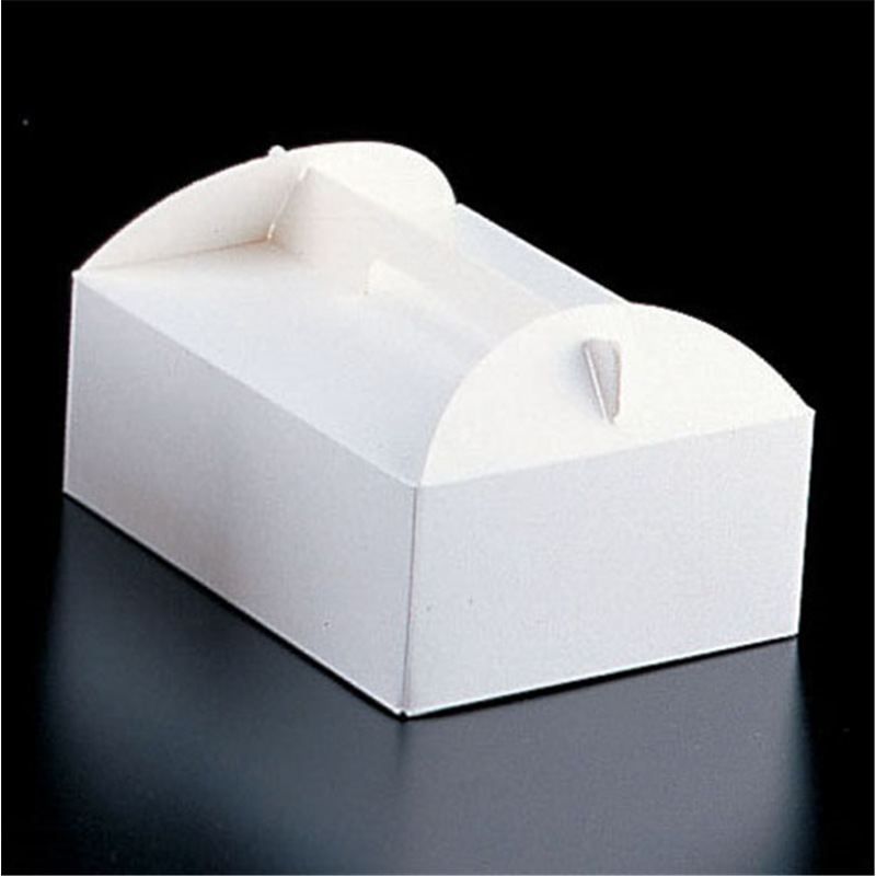 エコ洋生 キャリーボックス #8 DE-53 5号 100枚入 1箱(ご注文単位1箱)【直送品】