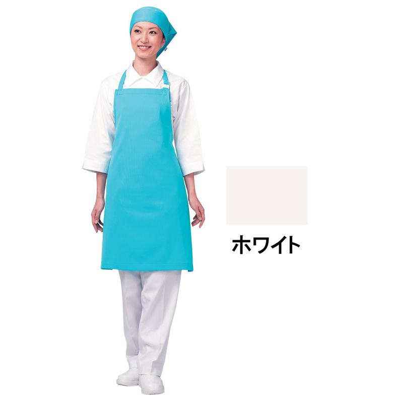 アイメッシュエプロン　首掛けタイプ E5200　00ホワイト 1袋（ご注文単位1袋）【直送品】