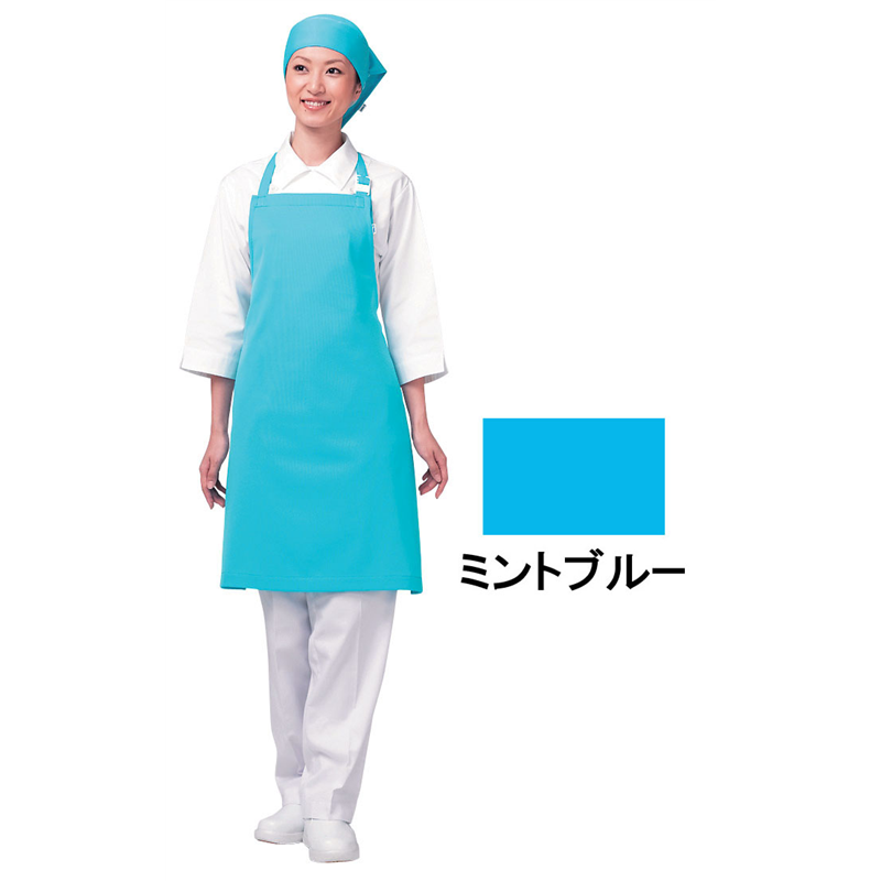 アイメッシュエプロン　首掛けタイプ E5200　11ミントブルー 1袋（ご注文単位1袋）【直送品】