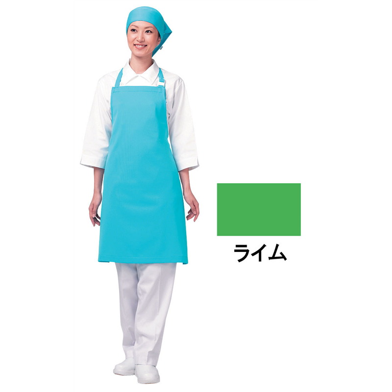 アイメッシュエプロン　首掛けタイプ E5200　22ライム 1袋（ご注文単位1袋）【直送品】