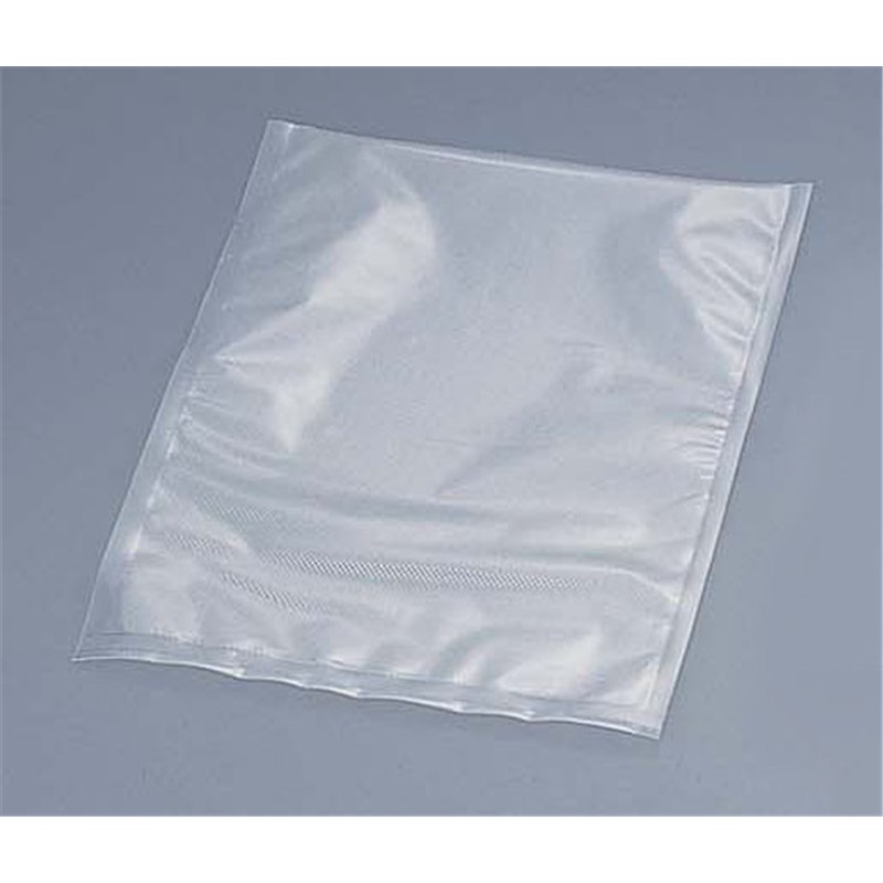真空パック器　専用抗菌袋（20枚入） 大　EX-3008-00 1袋（ご注文単位1袋）【直送品】