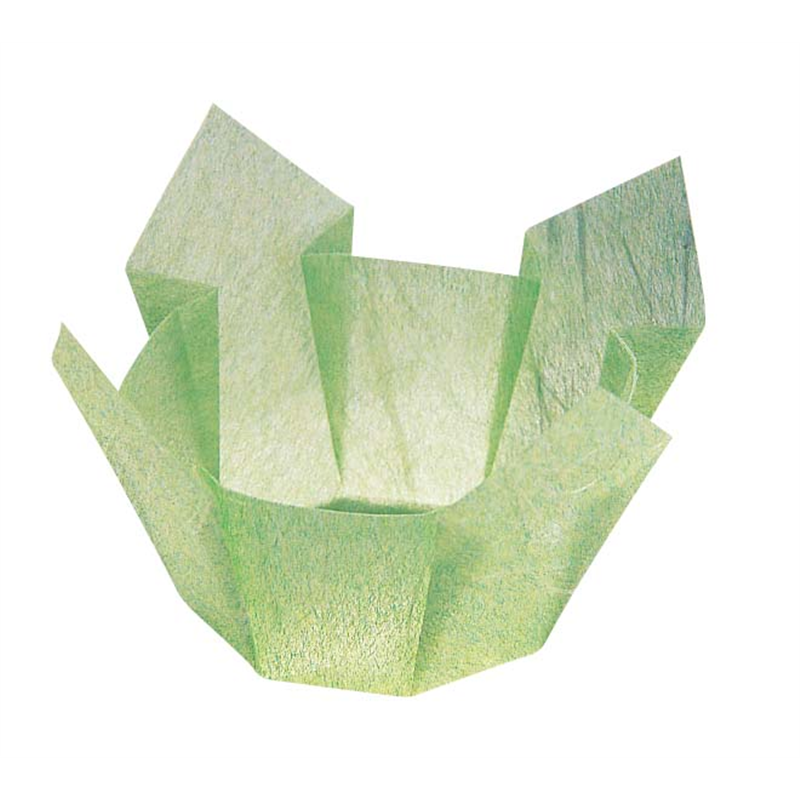 両面　OP珍味入　大（100枚入） 66403　若草雲竜 1箱（ご注文単位1箱）【直送品】