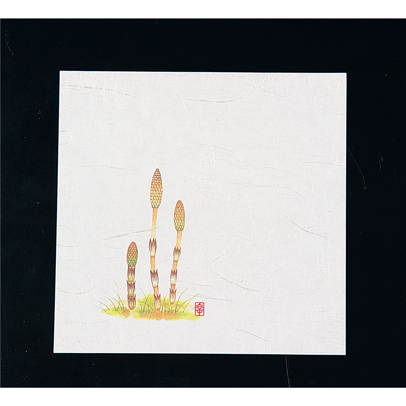 ニュー四季懐紙　5寸（100枚入） NS-5　つくし 1袋（ご注文単位1袋）【直送品】