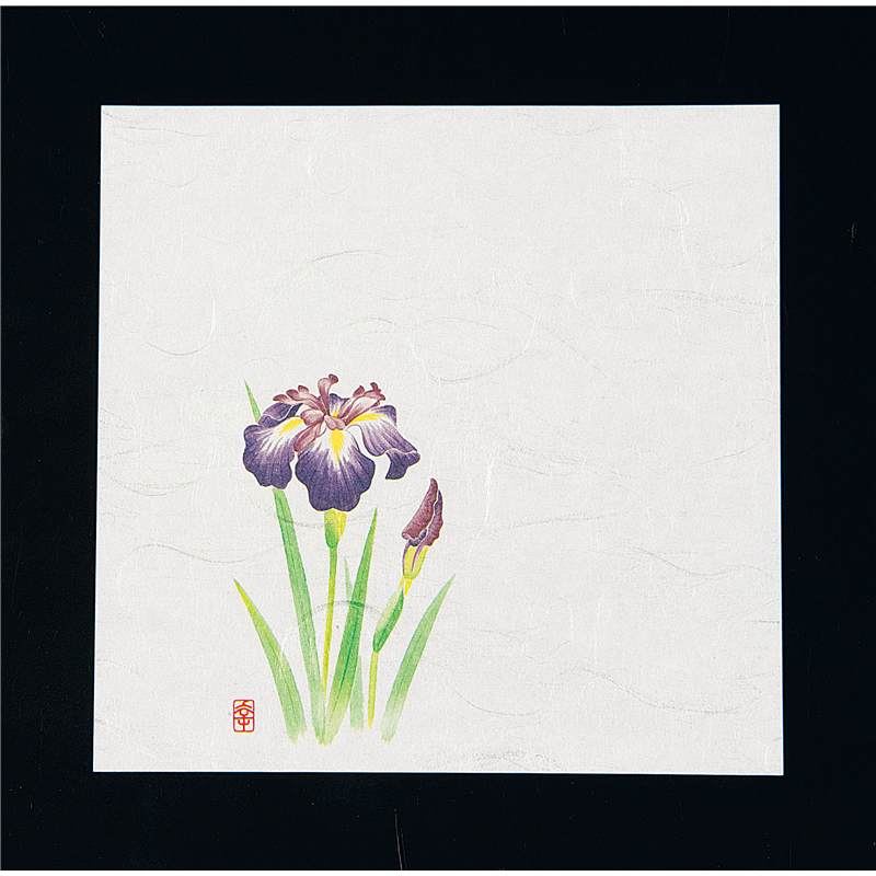 ニュー四季懐紙　5寸（100枚入） NS-7　あやめ 1袋（ご注文単位1袋）【直送品】