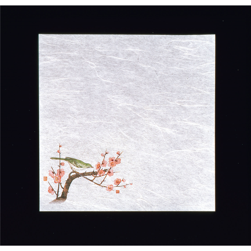 新・濡れ奉書紙（100枚入）　　梅  1袋（ご注文単位1袋）【直送品】