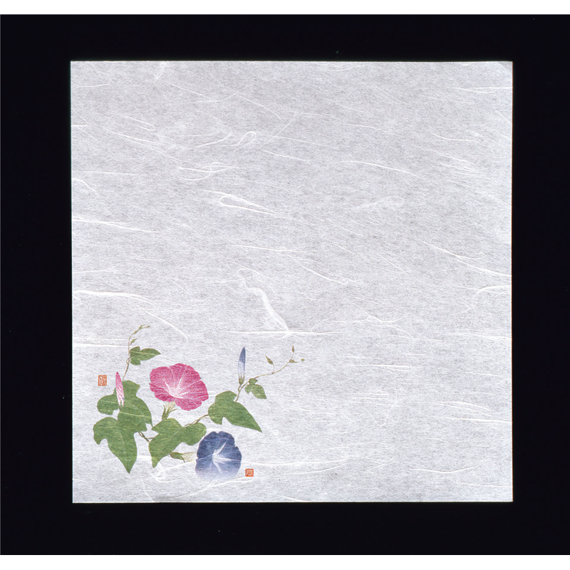 新・濡れ奉書紙（100枚入）　　朝顔  1袋（ご注文単位1袋）【直送品】