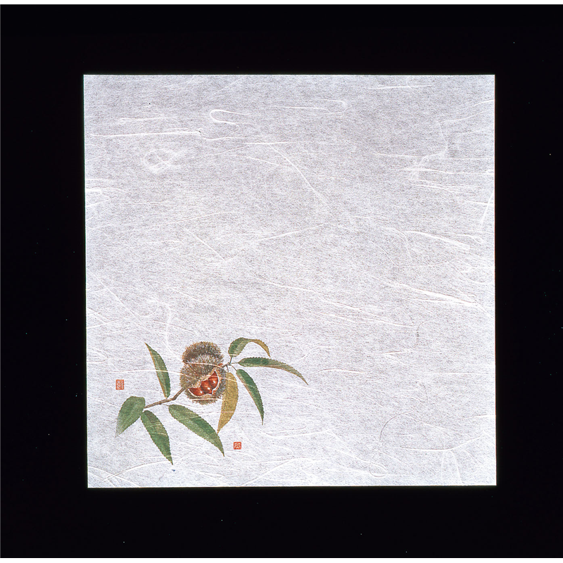 新・濡れ奉書紙（100枚入）　　栗  1袋（ご注文単位1袋）【直送品】