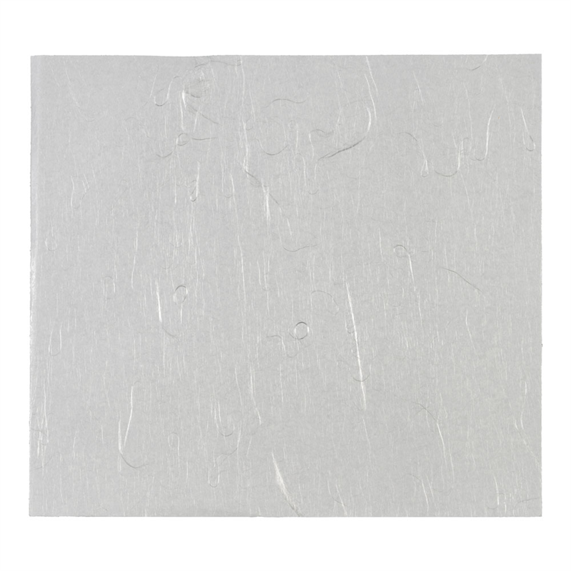 高級雲龍　天ぷら敷紙（500枚入）  1袋（ご注文単位1袋）【直送品】