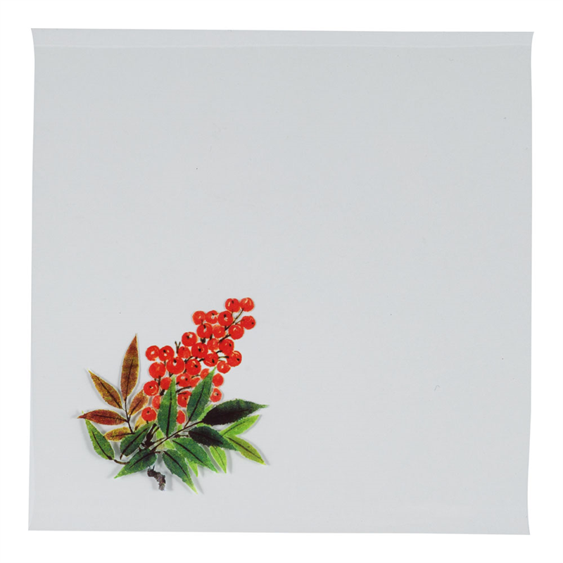 OPクリア四季　南天（200枚入） OS-15-4 1袋（ご注文単位1袋）【直送品】