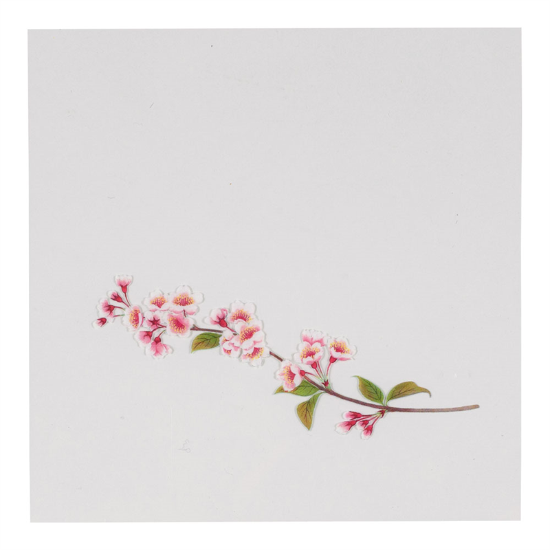 OPクリア四季　桜（200枚入） OS-12-6 1袋（ご注文単位1袋）【直送品】