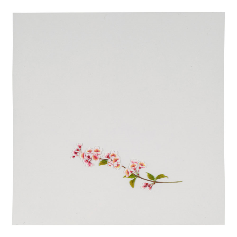 OPクリア四季　桜（200枚入） OS-18-6 1袋（ご注文単位1袋）【直送品】