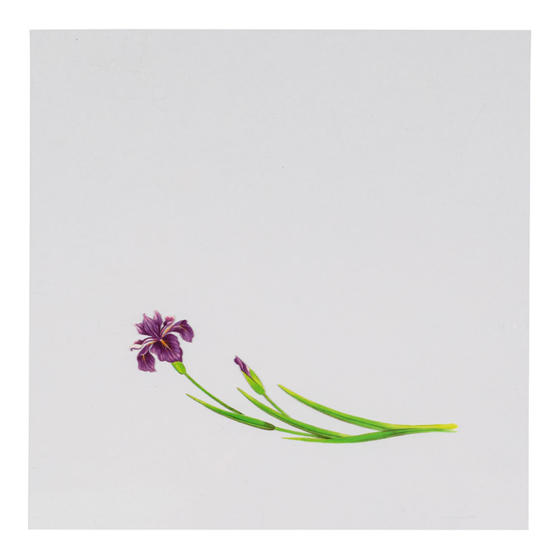 OPクリア四季　あやめ（200枚入） OS-15-7 1袋（ご注文単位1袋）【直送品】