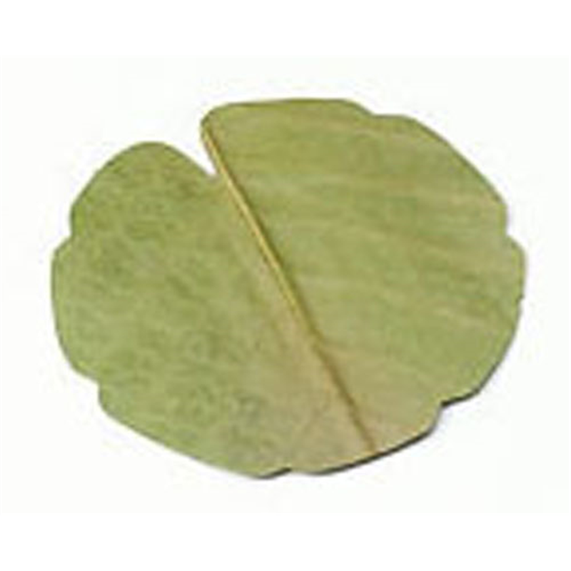 干朴葉懐敷（緑）100枚入 25995　丸型（小） 1袋（ご注文単位1袋）【直送品】