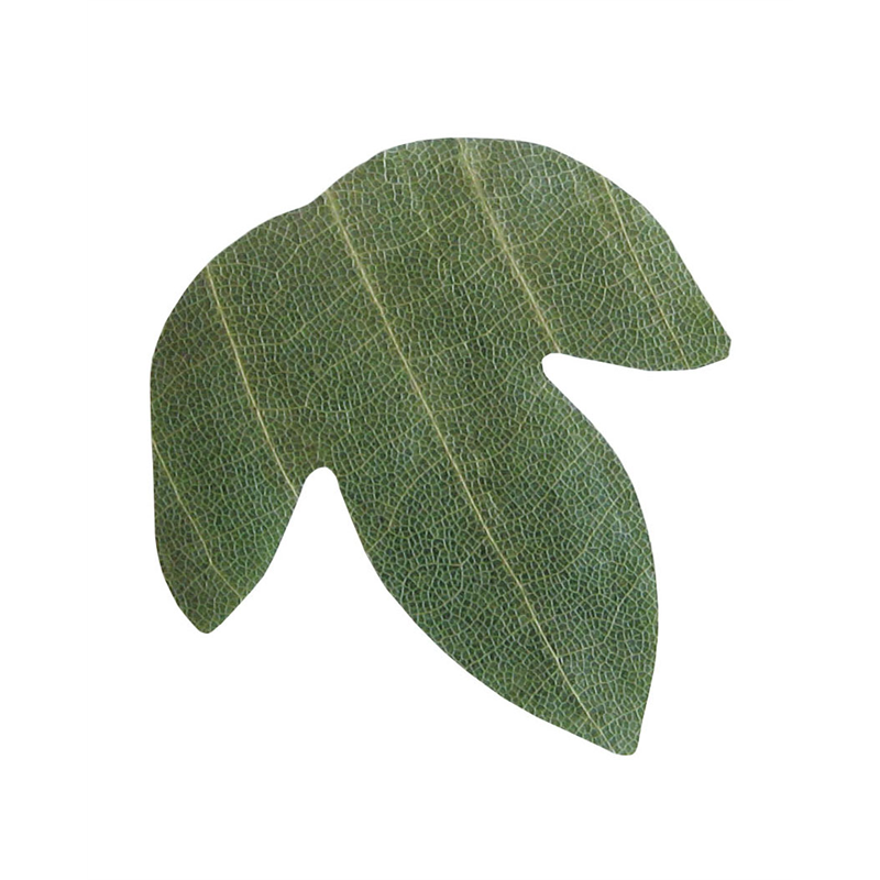 プチ干朴葉懐敷（緑）50枚入 23921　かえで型 1個（ご注文単位1個）【直送品】