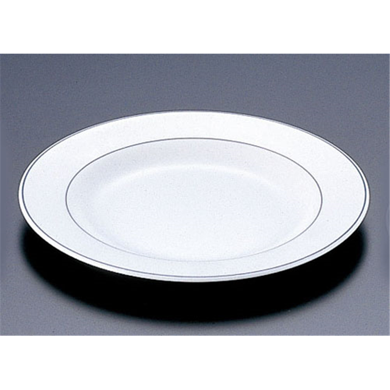 ガストロノミー　ミート皿　　φ240mm 75376（52776） 1個（ご注文単位1個）【直送品】