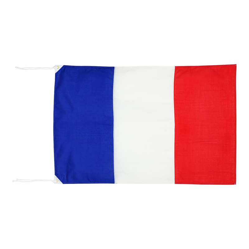 エクスラン万国旗　70×105cm フランス 1袋（ご注文単位1袋）【直送品】