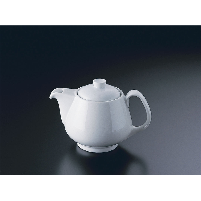 RT　エポック　10630-34211 ティーポット1人用 1個（ご注文単位1個）【直送品】