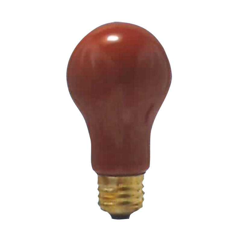 オーム電機 37600 04-6101 白熱電球 カラー アサヒ PS 110V 40W(ご注文単位1袋)【直送品】