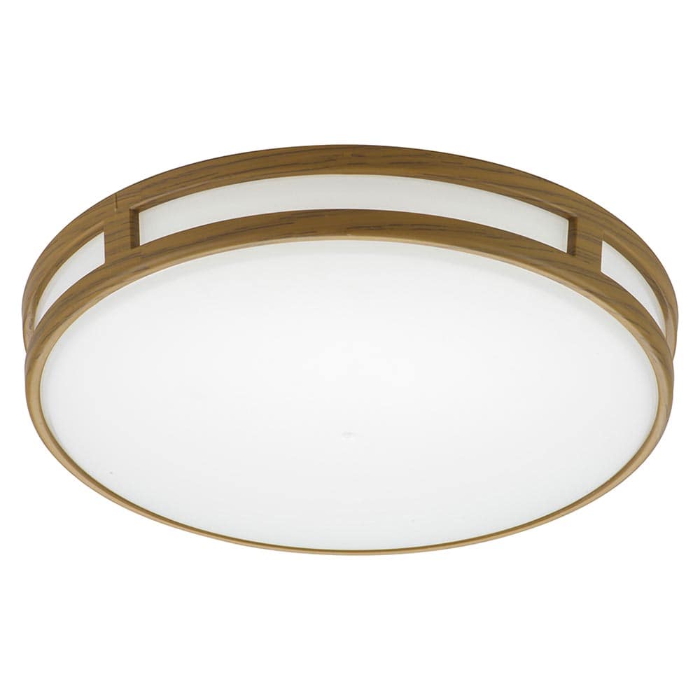 オーム電機 LE-Y13BC-TD 06-5071 LEDミニシーリングライト 調光タイプ 100形 1360ルーメン 昼光色(ご注文単位1袋)【直送品】