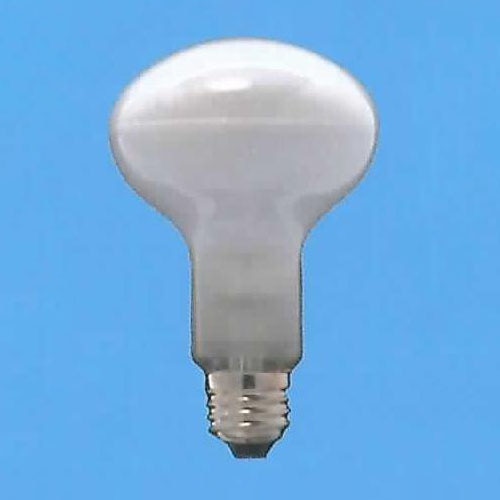 オーム電機 80400 16-4054 旭光 レフランプ 100W フロスト 口金E26（ご注文単位1袋）【直送品】