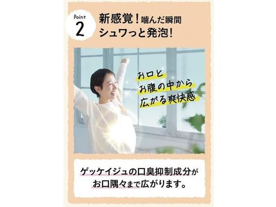 凸版クリエイティブパートナーズ ブレスクリア vita+ レモン味 50粒 1パック※軽(ご注文単位1パック)【直送品】