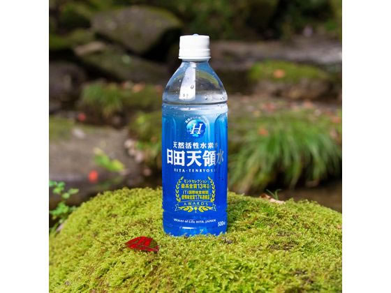 【ケース販売】日田天領水 500ml×48本（24本×2ケース） 1セット※軽（ご注文単位1セット)【直送品】