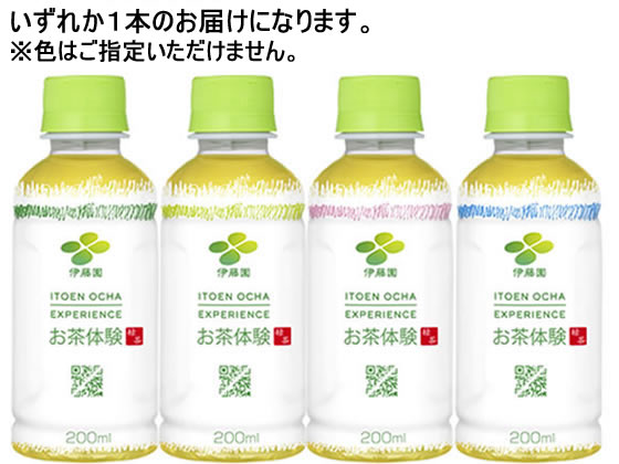 伊藤園 お茶体験 200ml 62067 1本※軽（ご注文単位1本)【直送品】