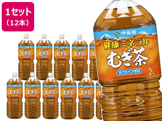 伊藤園 健康ミネラルむぎ茶 2L 12本 1セット※軽（ご注文単位1セット)【直送品】