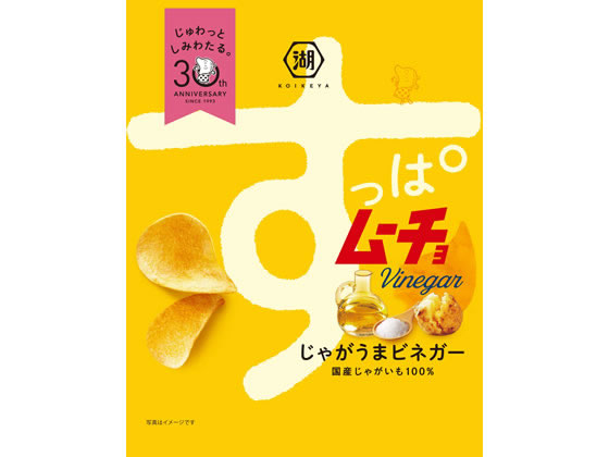 湖池屋 すっぱムーチョ チップス さっぱりビネガー 55g 1袋※軽(ご注文単位1袋)【直送品】