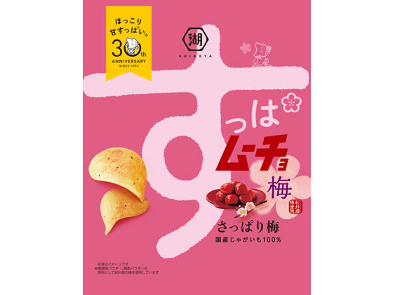 湖池屋 すっぱムーチョ チップス さっぱり梅 55g 1袋※軽(ご注文単位1袋)【直送品】