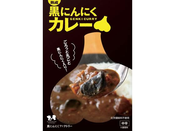 自然共生 熟成黒にんにくカレー 1個※軽（ご注文単位1個)【直送品】