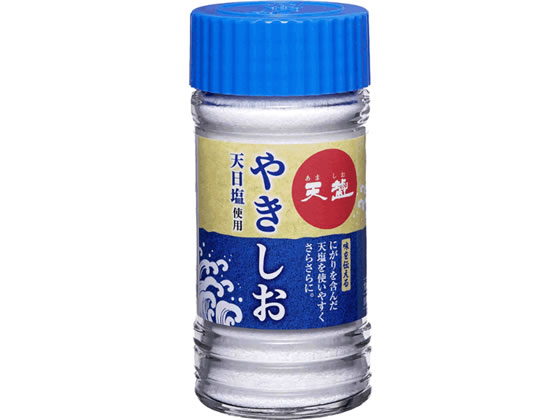 天塩 天塩やきしお100g 1本※軽(ご注文単位1本)【直送品】