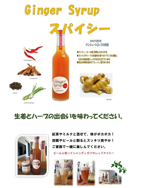 あおぞら蒼空舎 ジンジャーシロップスパイシー 300ml 1本※軽（ご注文単位1本)【直送品】
