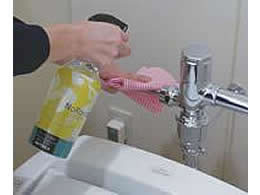 ニイタカ ノロスター 5L 1個※軽（ご注文単位1個）【直送品】