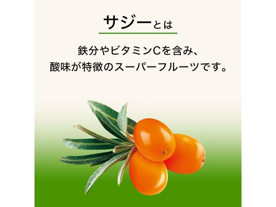 伊藤園 アップル・マンゴー サジーmix 紙パック 200mL 1本※軽(ご注文単位1本)【直送品】