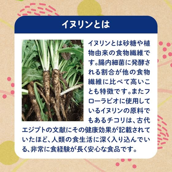 サラヤ ラカント おなか整う フローラビオ イヌリンオリゴシロップ 265g 1個※軽(ご注文単位1個)【直送品】