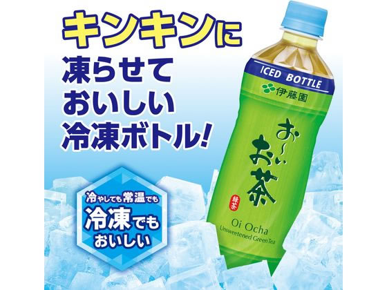 伊藤園 お～いお茶 緑茶 485mL (冷凍兼用ボトル) 1本※軽（ご注文単位1本）【直送品】