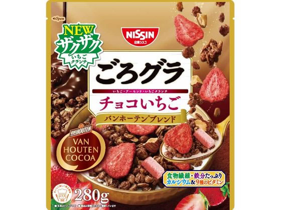 日清シスコ ごろグラ チョコいちご バンホーテンブレンド 1個※軽（ご注文単位1個）【直送品】