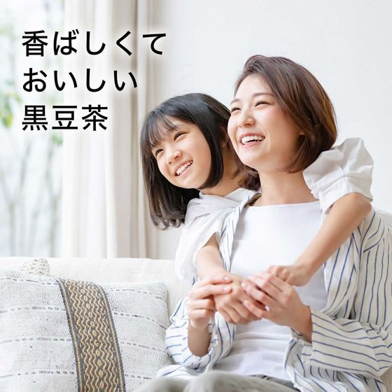 伊藤園 おいしく大豆 イソフラボン 黒豆茶 500mL 24本 1箱※軽（ご注文単位1箱）【直送品】