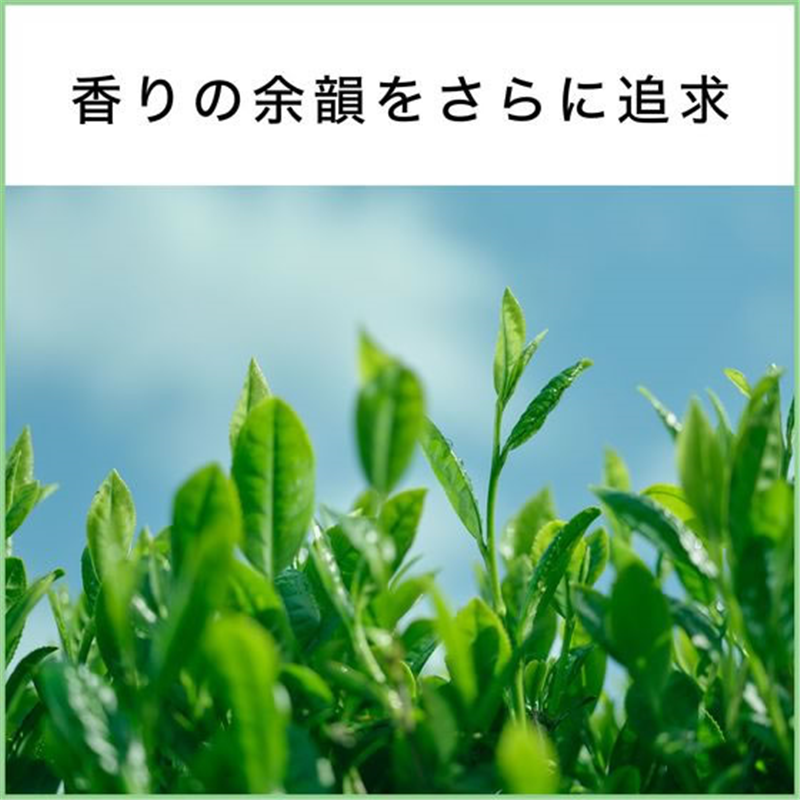 伊藤園 お～いお茶 ほうじ茶 電子レンジ対応 275mL 24本 1箱※軽（ご注文単位1箱）【直送品】