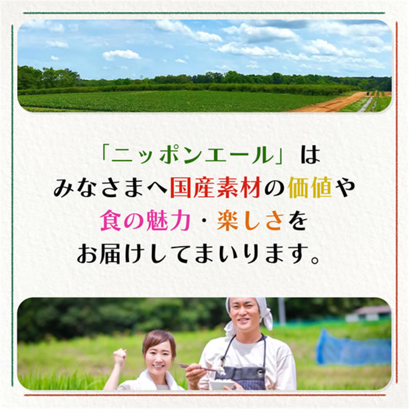 伊藤園 ニッポンエール 国産かんきつトリオ 400g×24本 1箱※軽(ご注文単位1箱)【直送品】