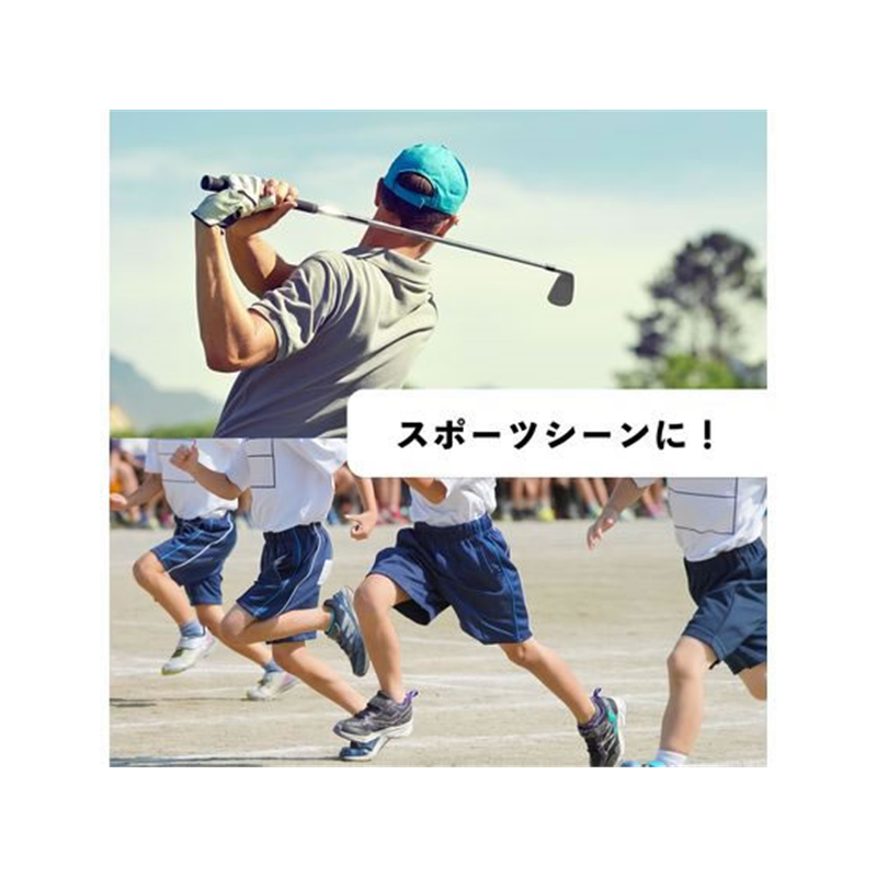 伊藤園 お～いお茶 緑茶 485mL (冷凍兼用ボトル)×24本 1箱※軽（ご注文単位1箱）【直送品】