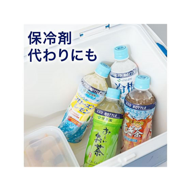 伊藤園 健康ミネラルむぎ茶 冷凍兼用ボトル 485mL×24本 1箱※軽（ご注文単位1箱）【直送品】